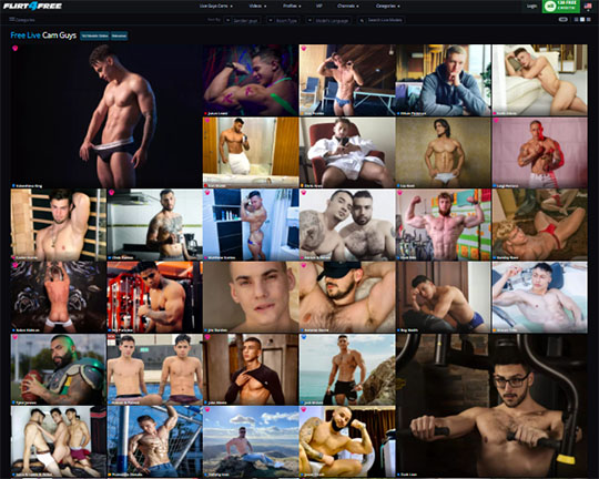 Flirt4Free Gay Logo