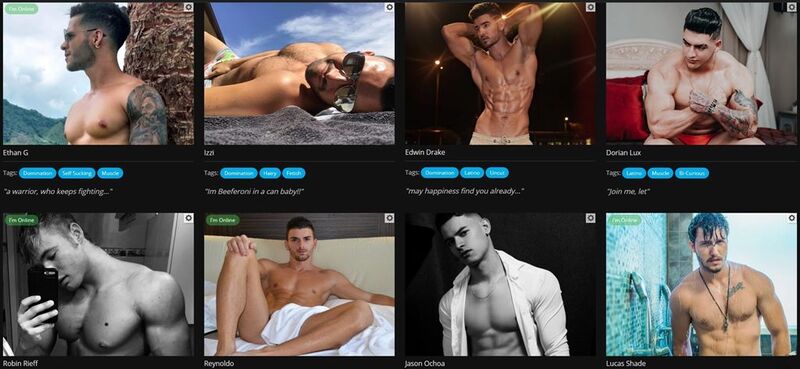 Flirt4Free's recorded shows section