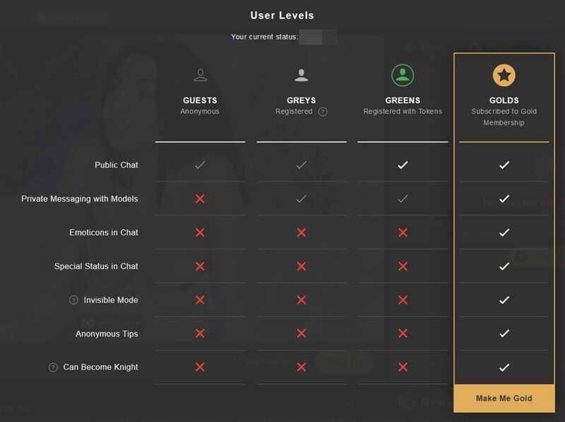 Stripchat's membership tiers